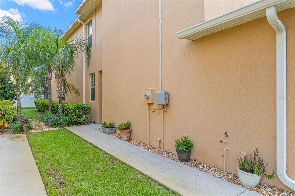 A side view of a tan stucco house exterior with a concrete walkway and landscaping — 9524 TRUMPET VINE LOOP, NEW PORT RICHEY, FL
