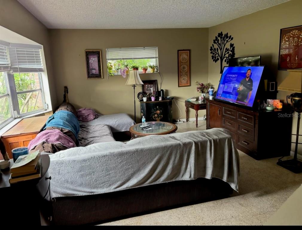 A living room features a sectional sofa, a television on a wooden console, and windows — 12728 83RD AVENUE, SEMINOLE, FL