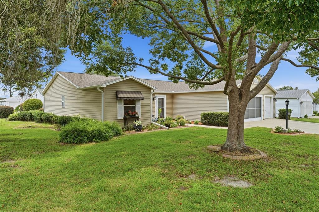 A tan, single-story house with a large tree in the front yard and a garage — 1602 MALACARA LANE, THE VILLAGES, FL
