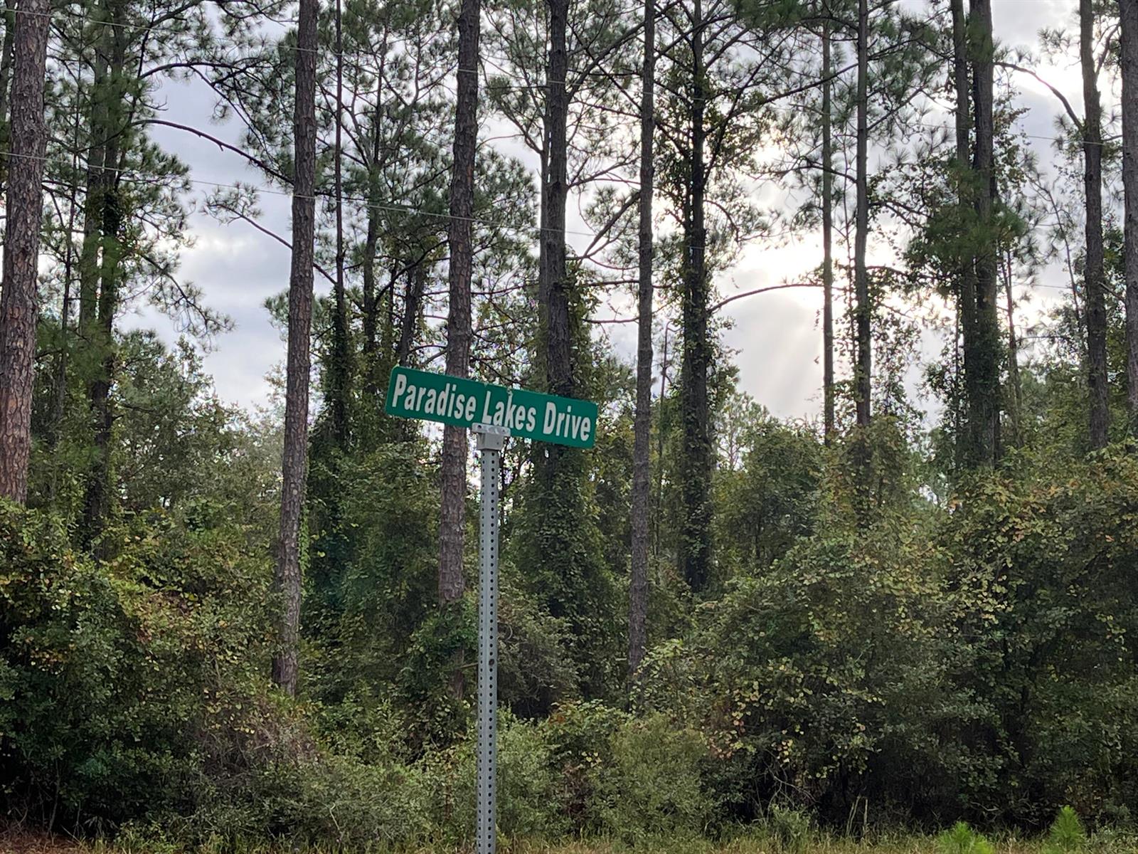 A green street sign reading Paradise Lakes Drive stands in front of a wooded area — 108 SE 5th Street, FL 32139, FL