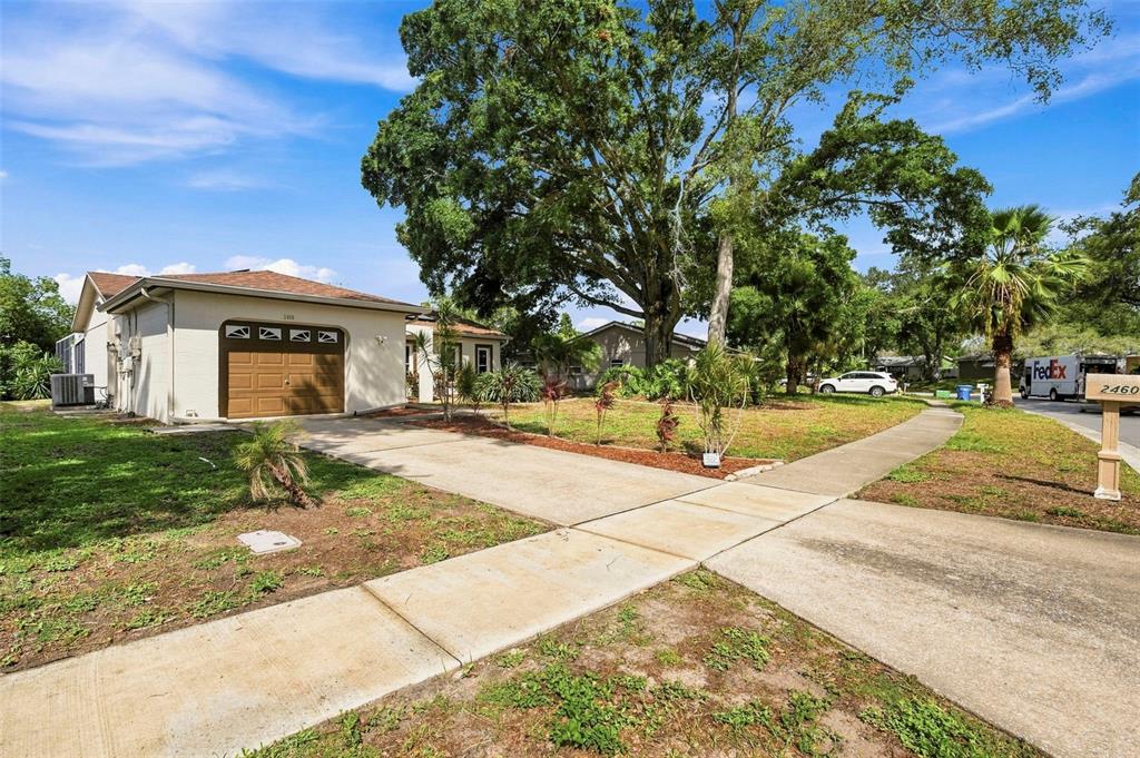 A single-story house with a brown garage door and a concrete driveway under large trees — 2460 BEACON GROVES BOULEVARD, PALM HARBOR, FL