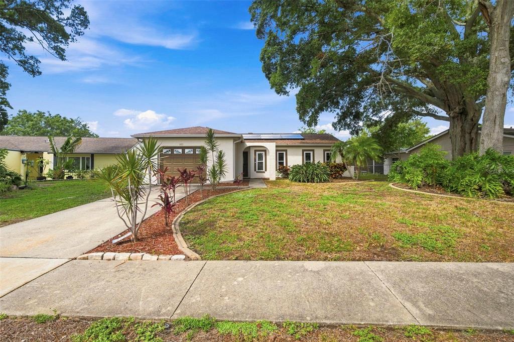 A single-story house with a brown garage door, a concrete driveway, and a large tree — 2460 BEACON GROVES BOULEVARD, PALM HARBOR, FL