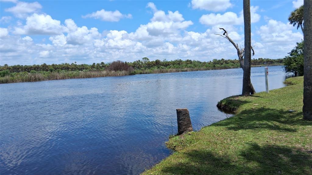 A view of a calm lake bordered by grassy banks, palm trees, and distant vegetation — 1300 N RIVER ROAD UNIT W 86, VENICE, FL