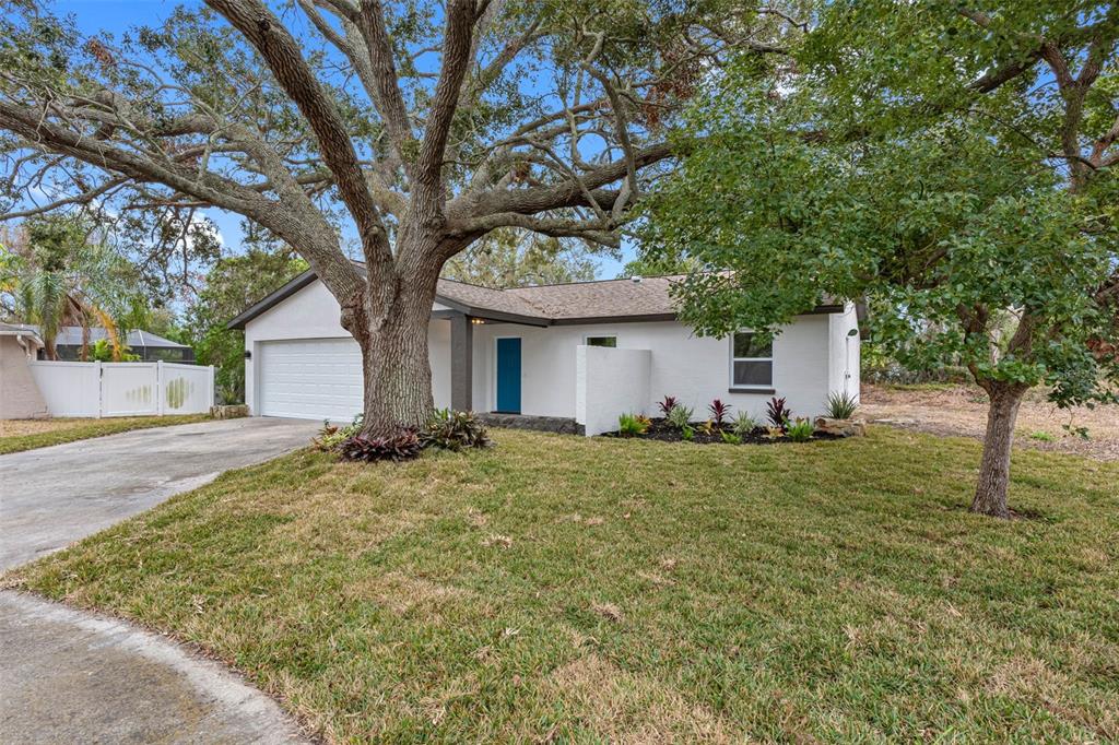 1399 GRAPELEAF COURT