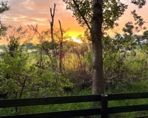 A wooden fence overlooks a grassy field and trees during a vibrant orange sunset — 1709 SONORA STREET, THE VILLAGES, FL