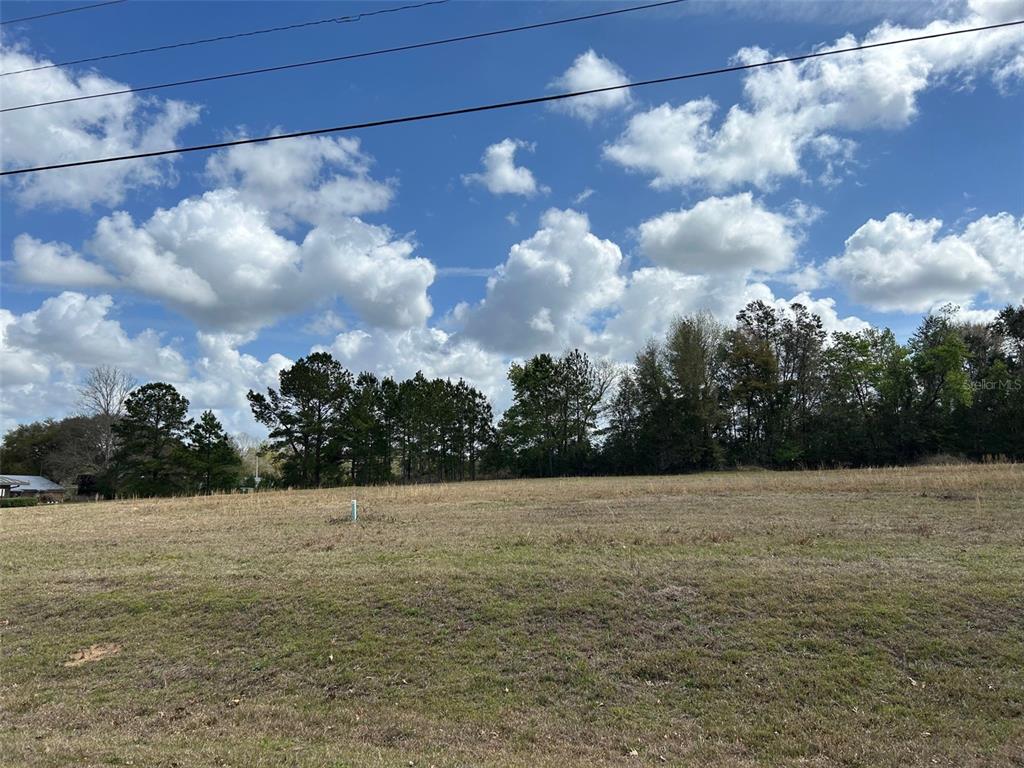A wide, grassy, vacant lot features a line of trees against a blue, cloudy sky — NW 104TH TERRACE, ALACHUA, FL