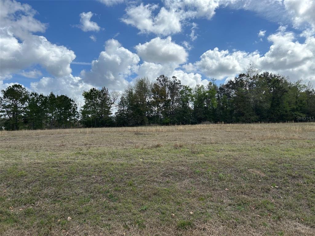 A wide, grassy field sits in front of a dense line of trees under a cloudy sky — NW 104TH TERRACE, ALACHUA, FL