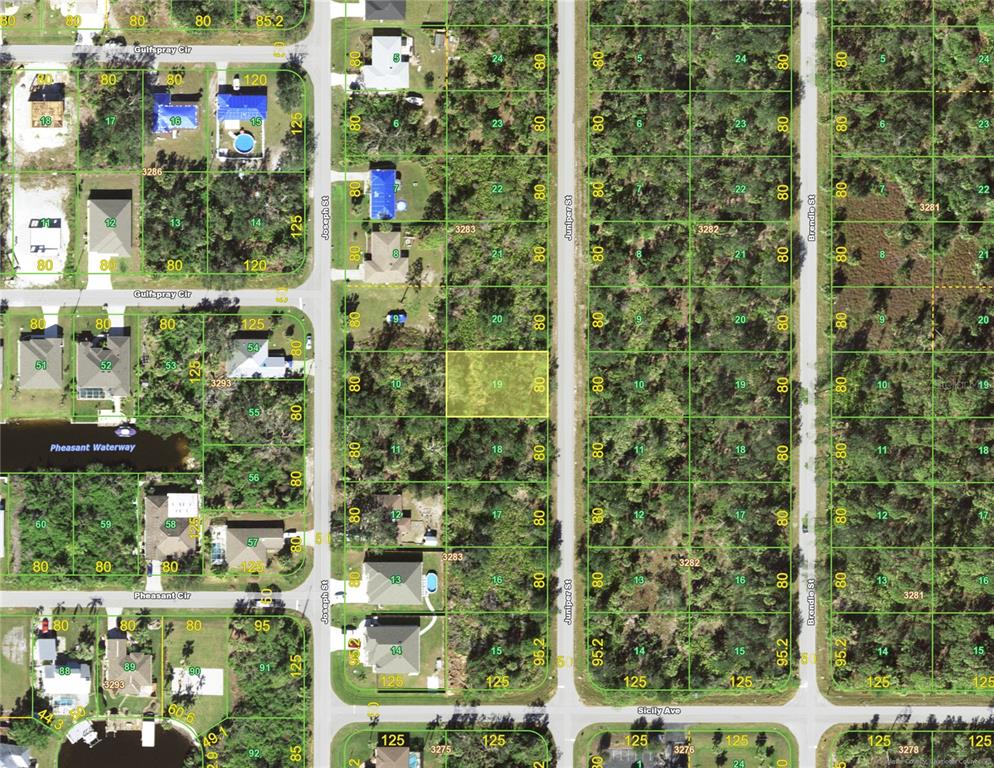 This is a satellite map showing residential land parcels and streets in a wooded area — 4113 JUNIPER STREET, PORT CHARLOTTE, FL