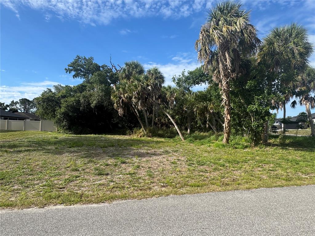 A vacant, grassy residential lot features several tall palm trees and dense foliage — Lot 1 MULGRAVE AVENUE, NORTH PORT, FL