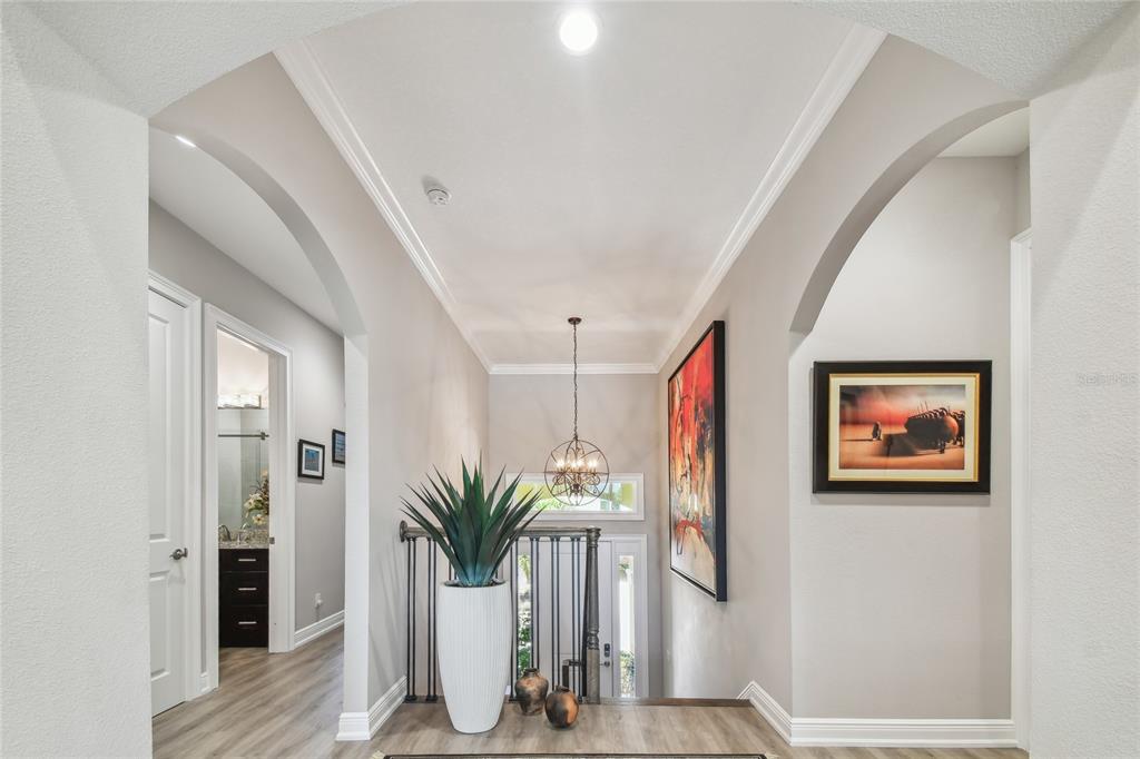 A foyer with arched doorways, a chandelier, a large potted plant, and light wood flooring — 17 FRANKLIN COURT S UNIT C, ST PETERSBURG, FL
