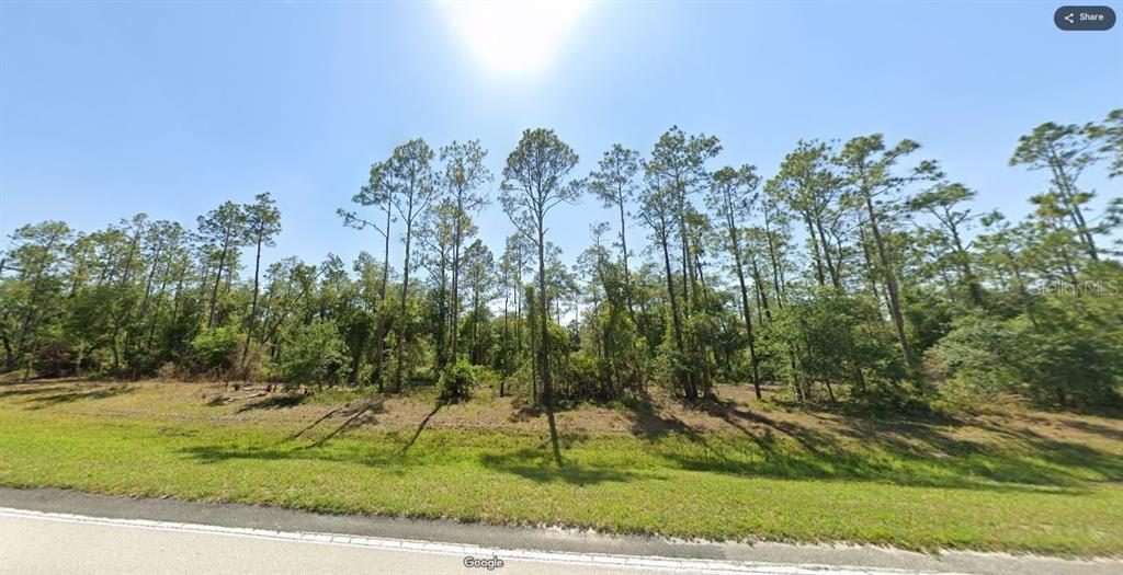A grassy roadside leads to a wooded lot filled with tall pine trees — RIVER RANCH BOULEVARD, LAKE WALES, FL
