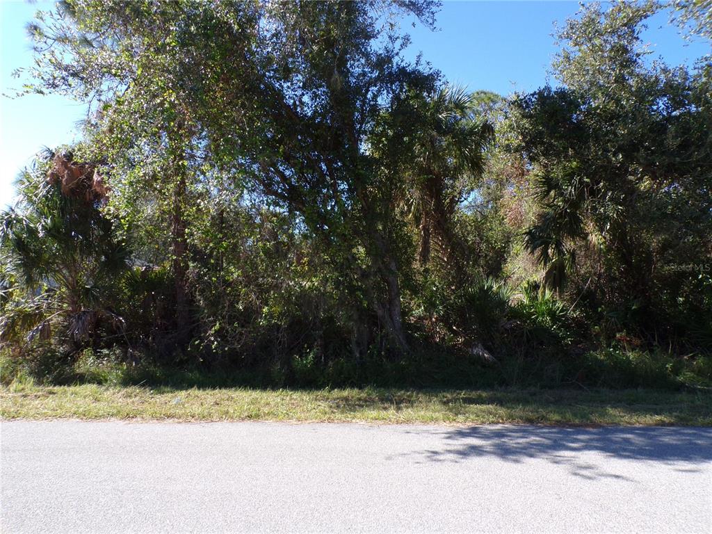 A dense, wooded vacant lot sits behind a paved road under a clear blue sky — NORA LANE, NORTH PORT, FL