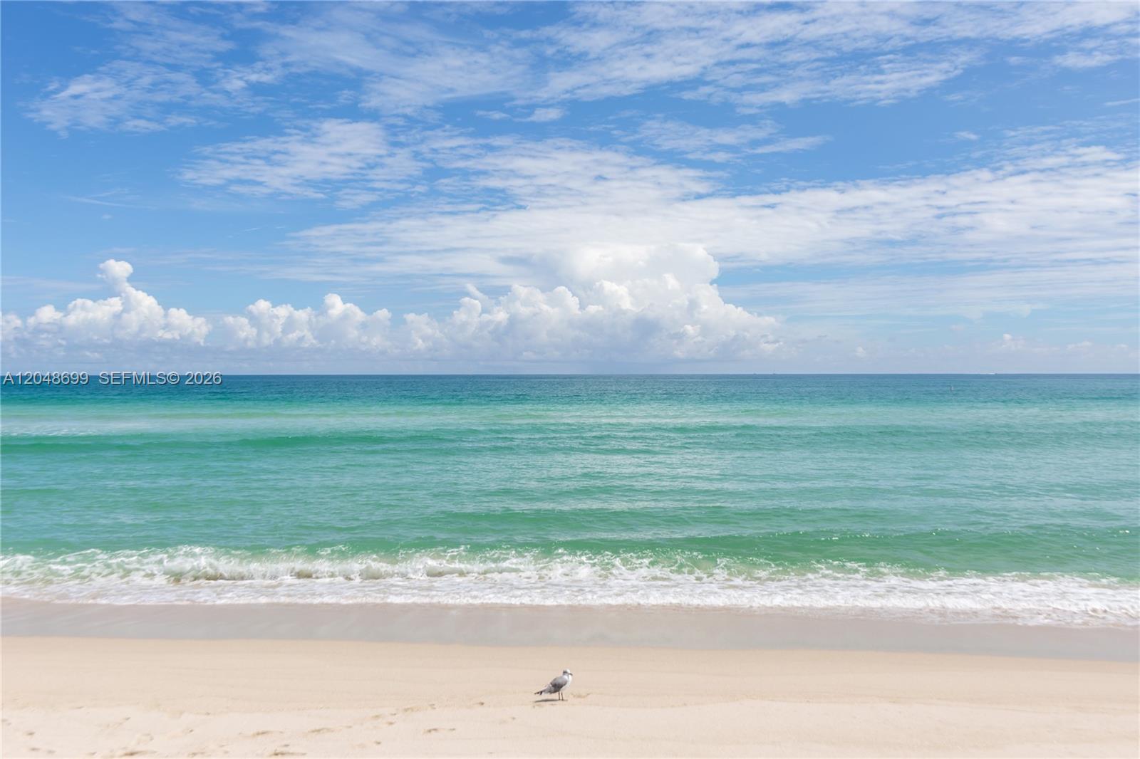 A lone seagull stands on a sandy beach overlooking the turquoise ocean and blue sky — 5445 Collins Ave # 1108, Miami Beach FL 33140, MIAMI BEACH, FL