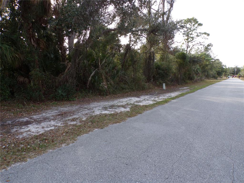 A paved road runs alongside a wooded lot with a survey marker in the grass — TEPEE AVENUE, NORTH PORT, FL