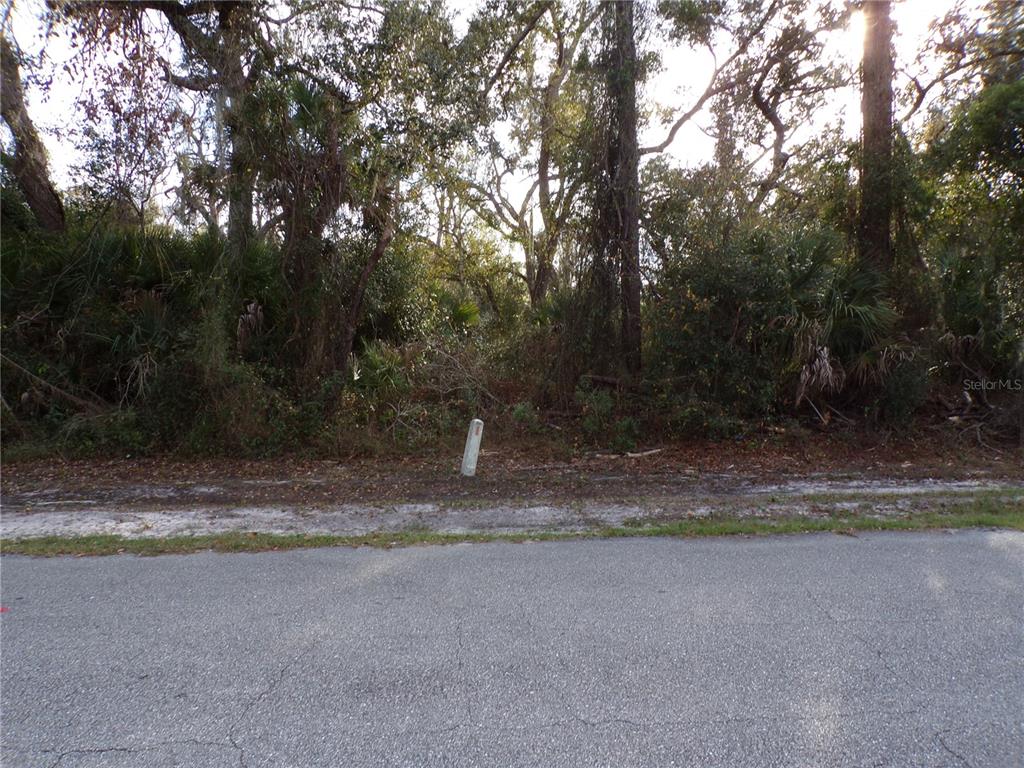 A paved road runs in front of a wooded, undeveloped residential lot — TEPEE AVENUE, NORTH PORT, FL