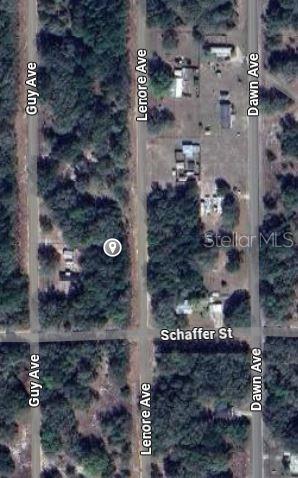 LENORE AVENUE, INTERLACHEN, FL — photo 2 of 5
