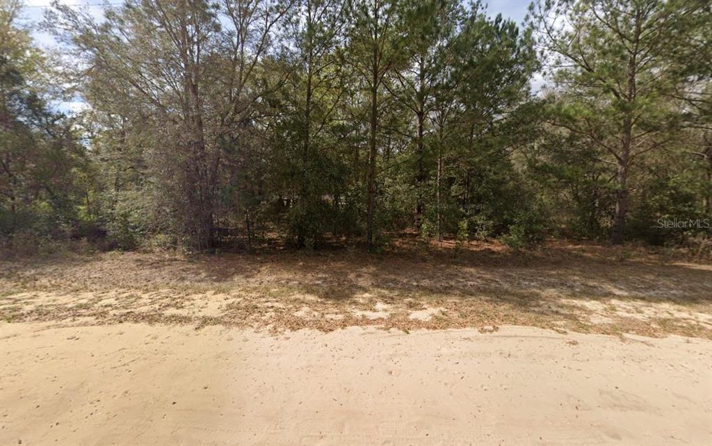 LENORE AVENUE, INTERLACHEN, FL — photo 3 of 5
