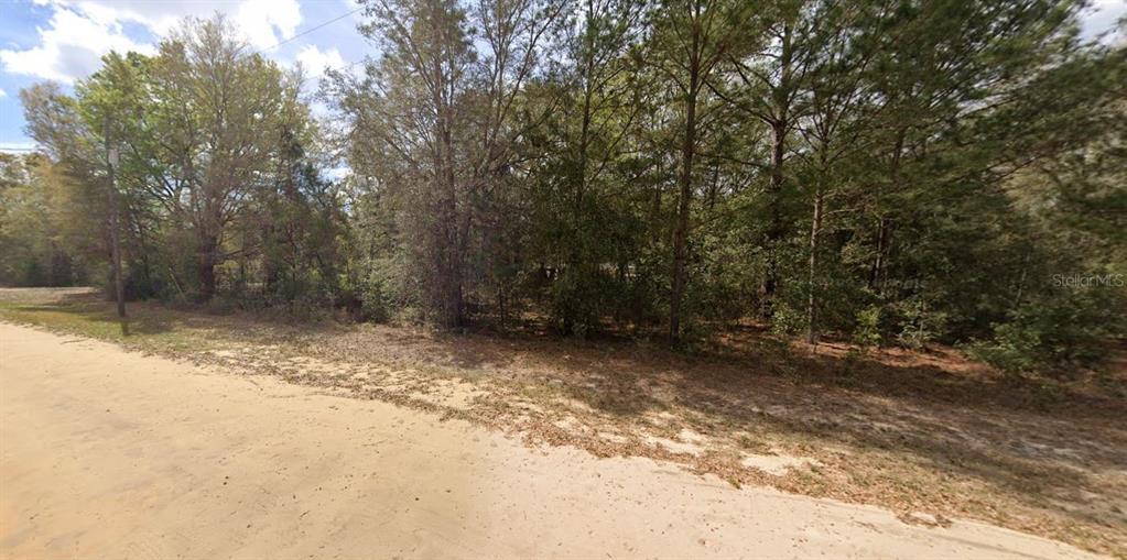 LENORE AVENUE, INTERLACHEN, FL — photo 4 of 5