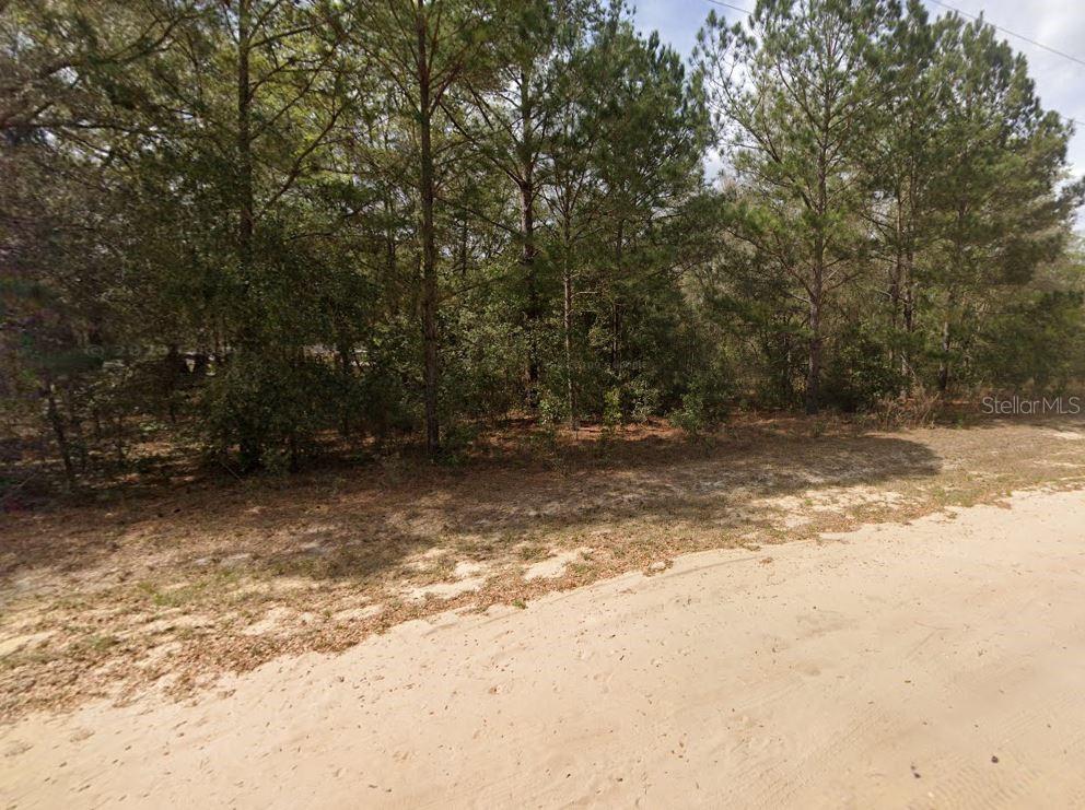 LENORE AVENUE, INTERLACHEN, FL — photo 5 of 5