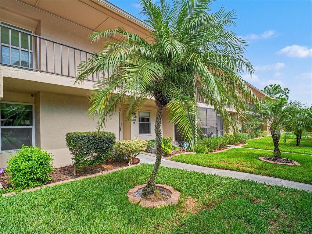 A two-story apartment building exterior features a palm tree in the front lawn — 2653 WOODGATE LANE UNIT E-3, SARASOTA, FL
