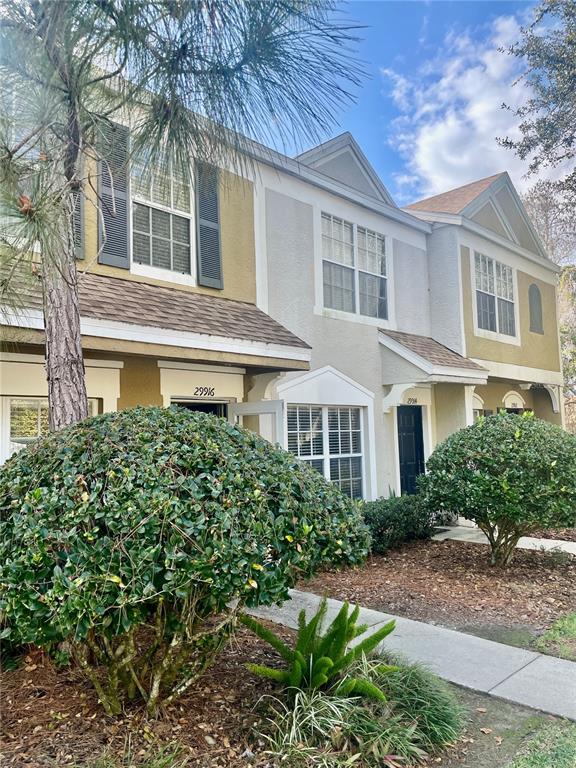 29916 ALTA VITA LANE
