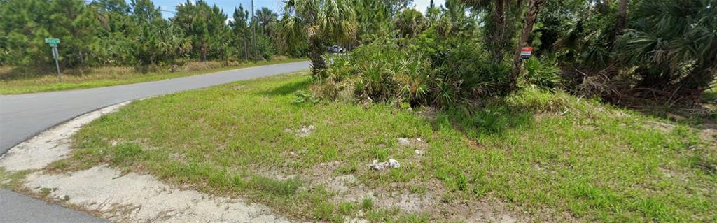 A vacant, grassy corner lot with palm trees and vegetation next to a paved road — 2900 FISKE ROAD SE, PALM BAY, FL