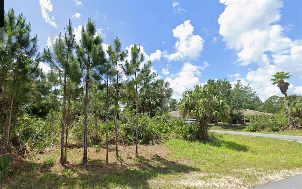 A vacant, grassy lot features several tall pine trees and dense brush under a blue sky — 2900 FISKE ROAD SE, PALM BAY, FL