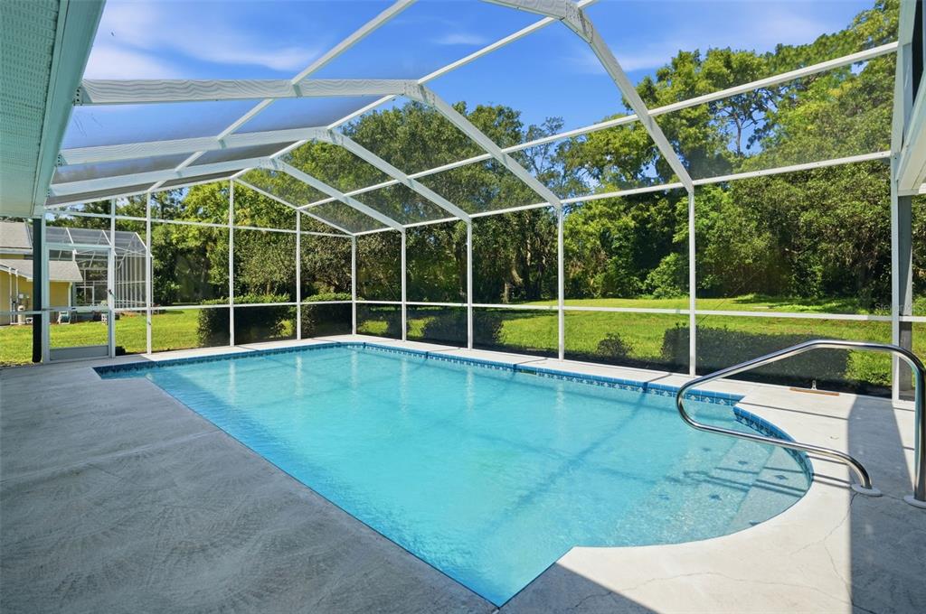 A rectangular swimming pool is enclosed by a screened lanai overlooking a grassy backyard — 18451 WINDING OAKS BOULEVARD, HUDSON, FL