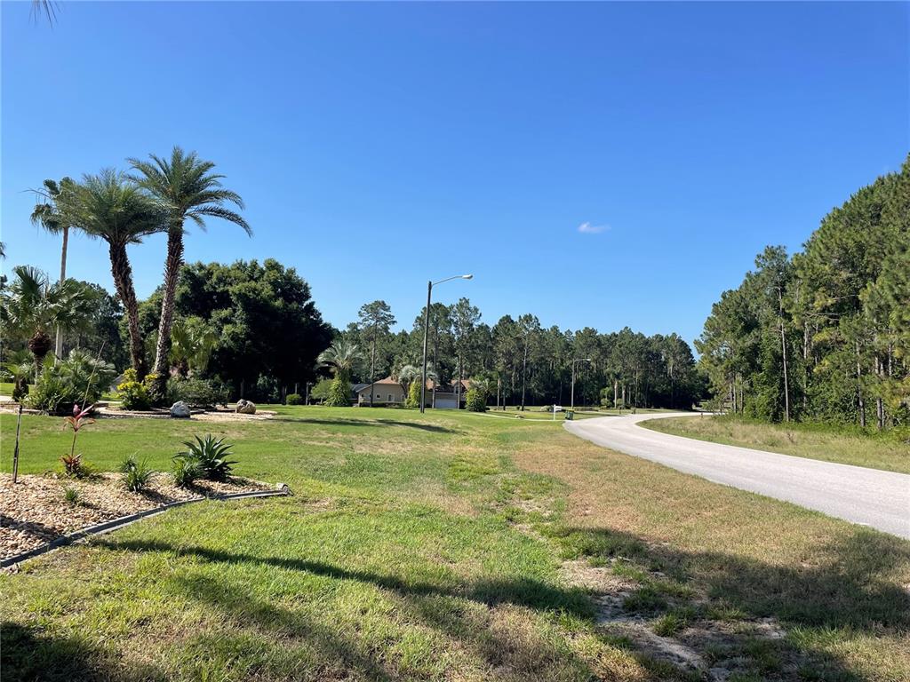 A paved road curves through a grassy residential lot with palm trees and surrounding woods — 31004 SECRETARIAT TRAIL, LEESBURG, FL