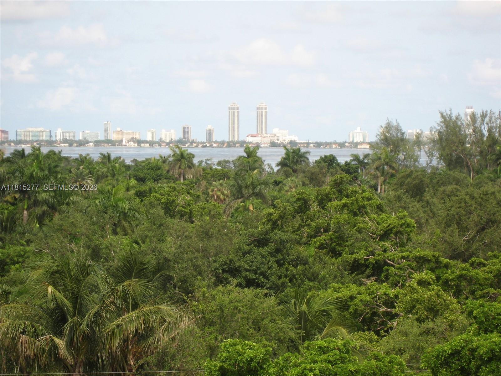 A view of a dense green forest overlooking a body of water and city skyline — 5701 Biscayne Blvd # 701, Miami FL 33137, MIAMI, FL