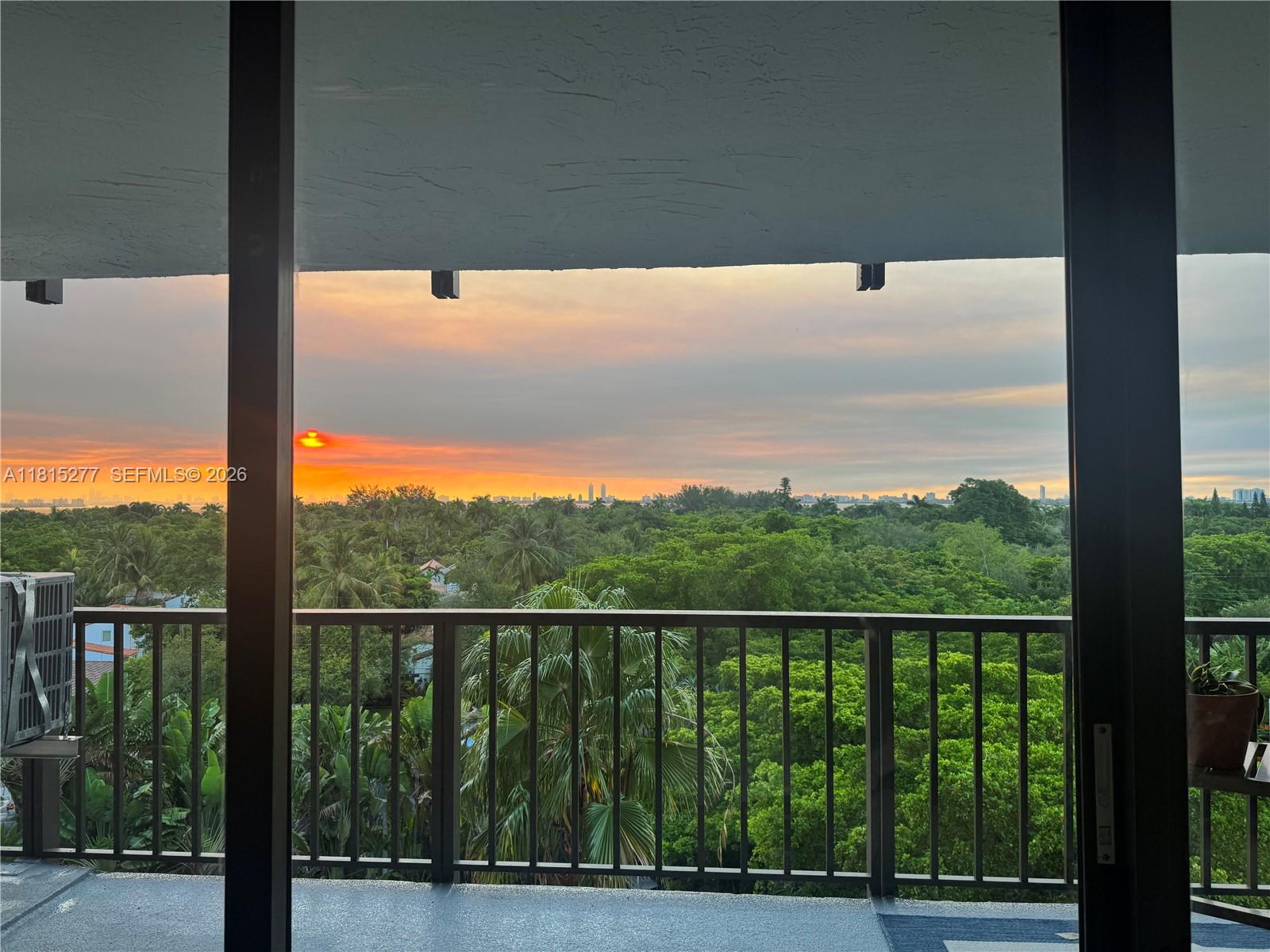 A balcony view overlooks a lush green canopy and a distant city skyline at sunset — 5701 Biscayne Blvd # 701, Miami FL 33137, MIAMI, FL