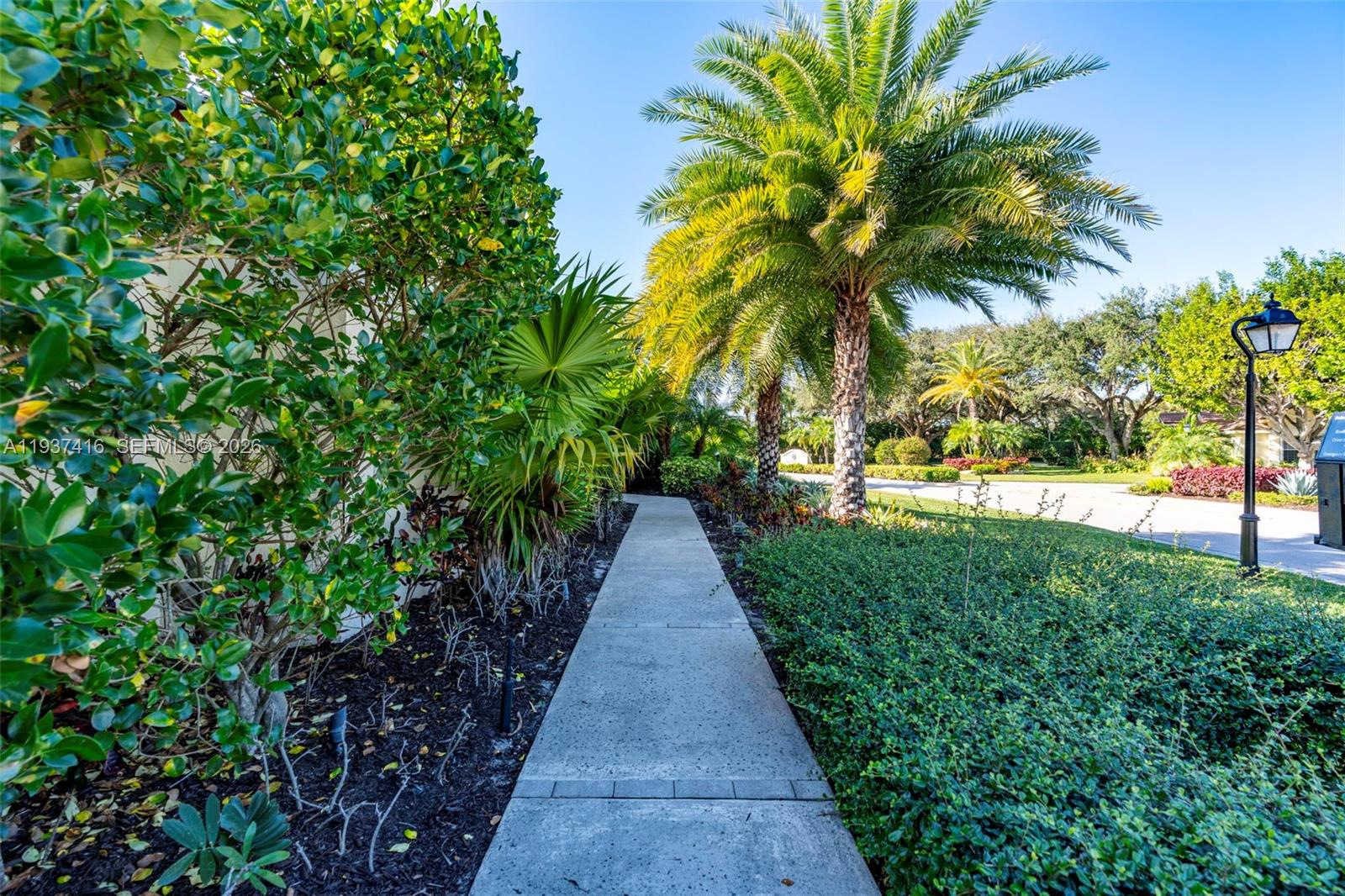 A concrete walkway leads through a landscaped garden with palm trees and green shrubs — 3950 Shearwater Dr, Jupiter FL 33477, JUPITER, FL