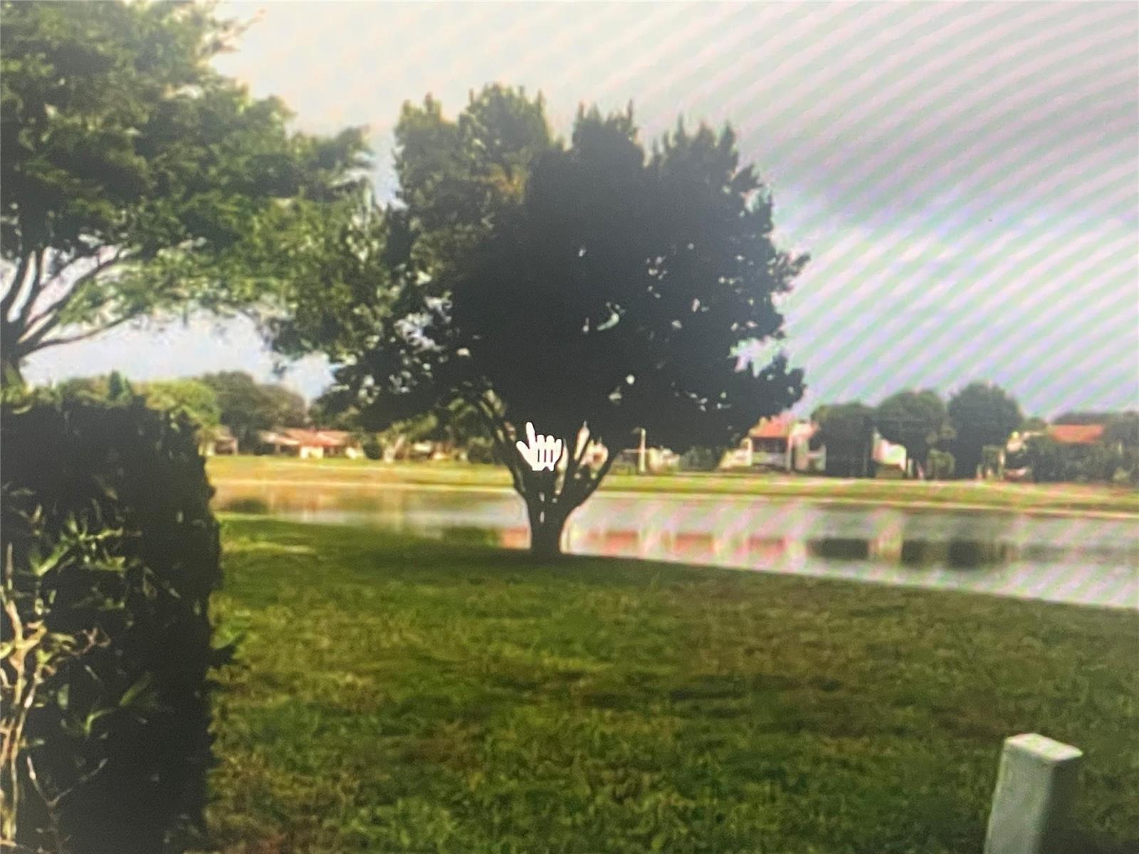 A large tree stands on a grassy lawn beside a small pond with houses behind — 5675 Northpointe Lane, Boynton Beach FL 33437, BOYNTON BEACH, FL
