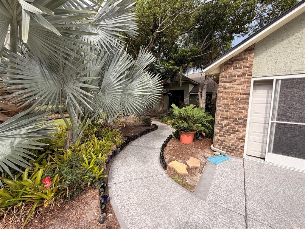 A curved concrete walkway leads to a house entrance past a large palm tree — 1015 CALLE ROSA PLACE, SUN CITY CENTER, FL