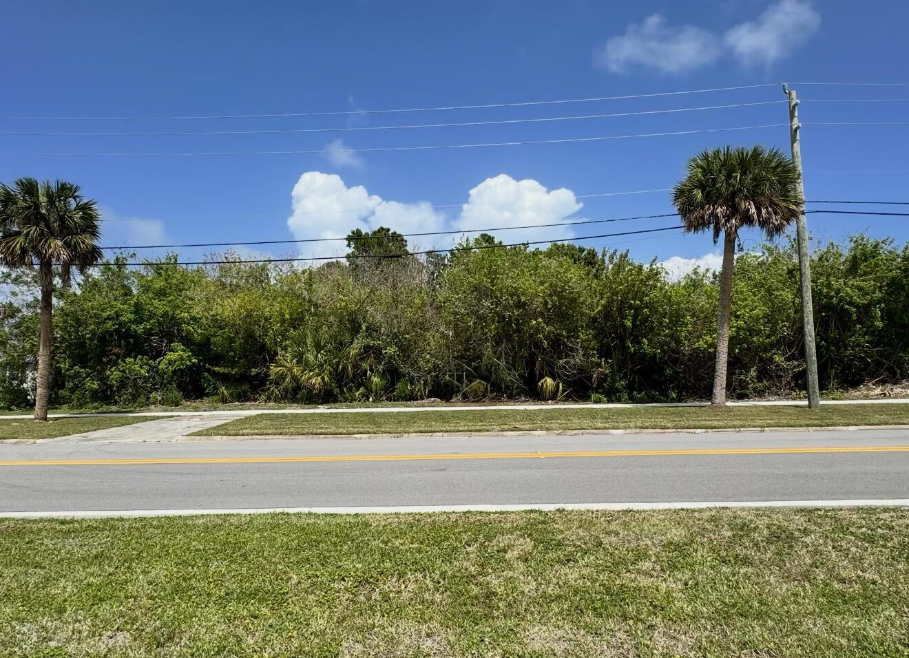 A vacant, grassy lot with two palm trees sits behind a paved road — 1654 N Central Avenue, Sebastian FL 32958, SEBASTIAN, FL