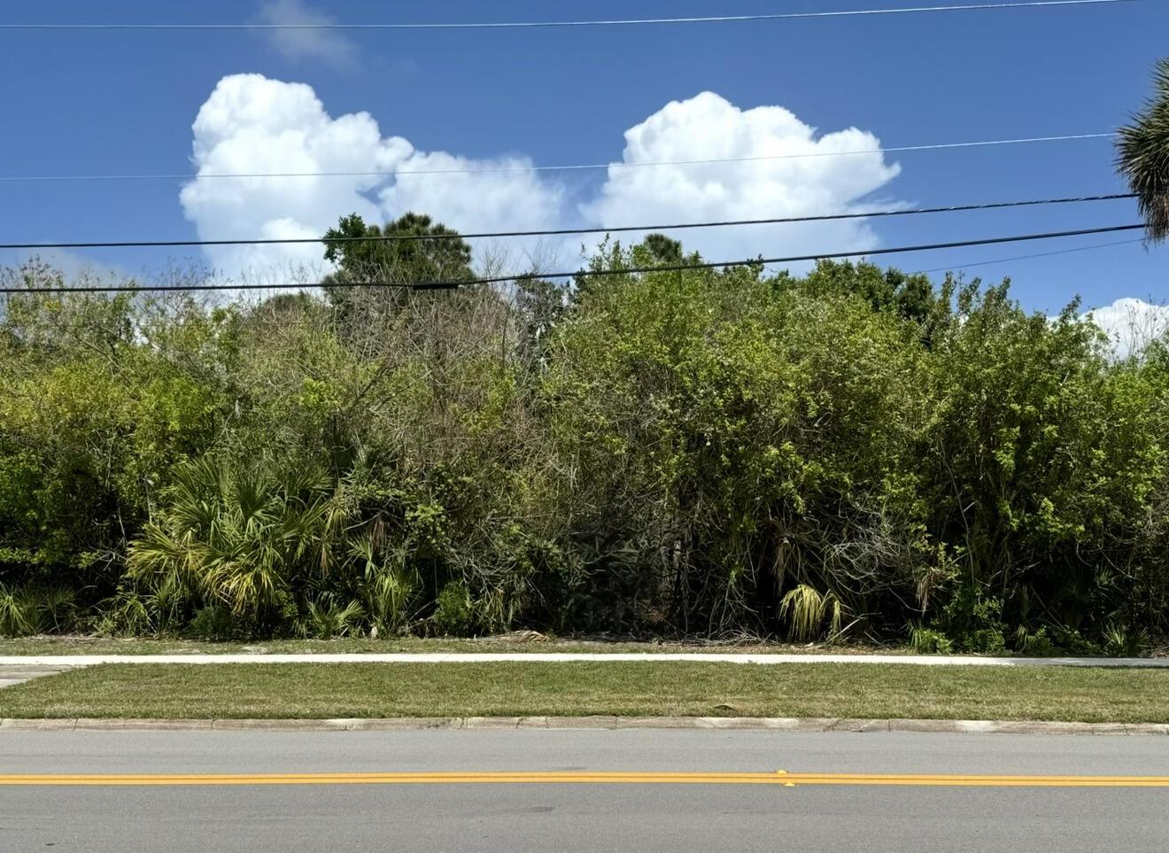 A vacant, tree-covered lot sits behind a sidewalk and a two-lane road — 1654 N Central Avenue, Sebastian FL 32958, SEBASTIAN, FL