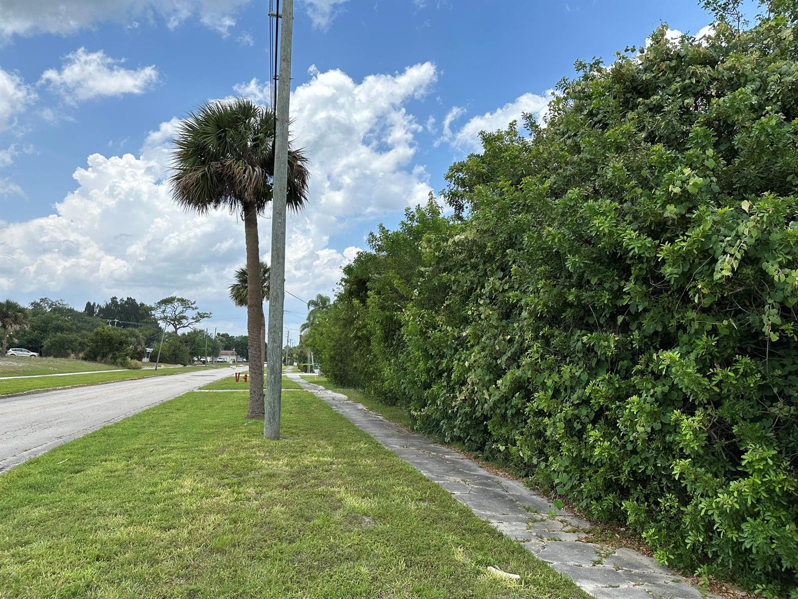 A sidewalk runs alongside a grassy verge, a utility pole, and a dense hedge of trees — 1654 N Central Avenue, Sebastian FL 32958, SEBASTIAN, FL