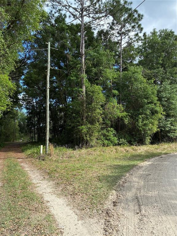 A dirt road forks in front of a wooded area with a utility pole — SE 142ND AVE AND SE 120TH PL, OCKLAWAHA, FL