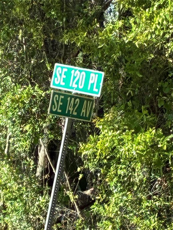 A street sign shows the intersection of SE 120 Pl and SE 142 Av — SE 142ND AVE AND SE 120TH PL, OCKLAWAHA, FL