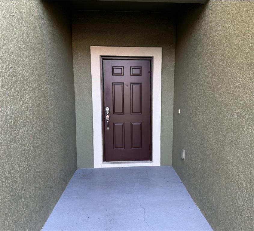 A dark brown front door with a white frame sits in a recessed entryway — 2807 LANTERN HILL AVENUE, BRANDON, FL