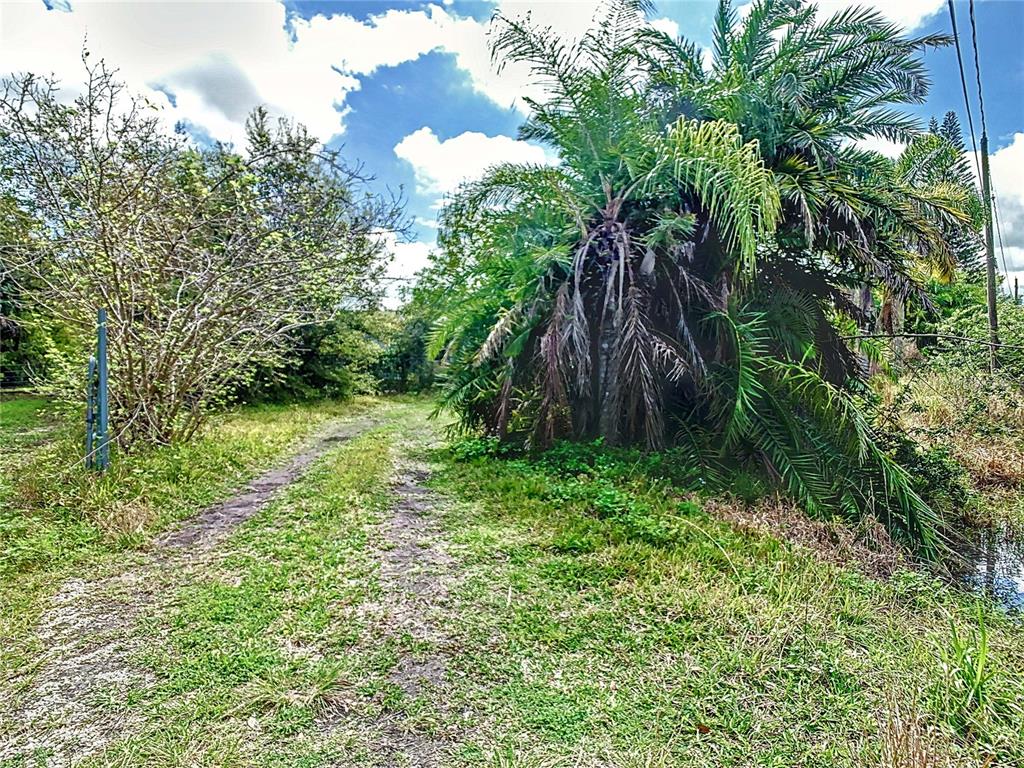 A dirt path leads through a grassy area past a large palm tree and trees — 1518 27TH STREET SE, RUSKIN, FL