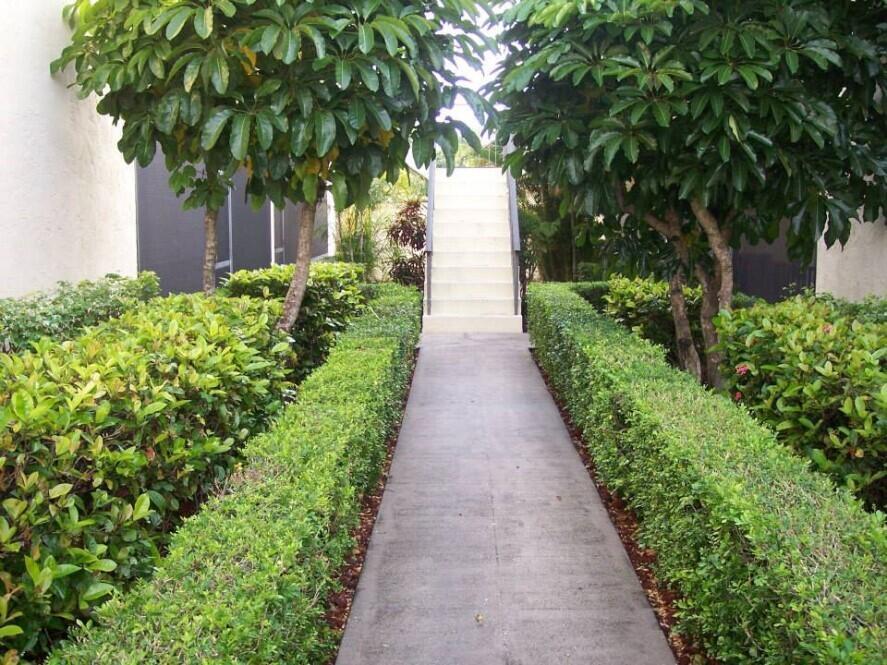 A concrete walkway leads between two manicured hedges toward a set of outdoor stairs — 120 N M Street # L, FL 33460, FL