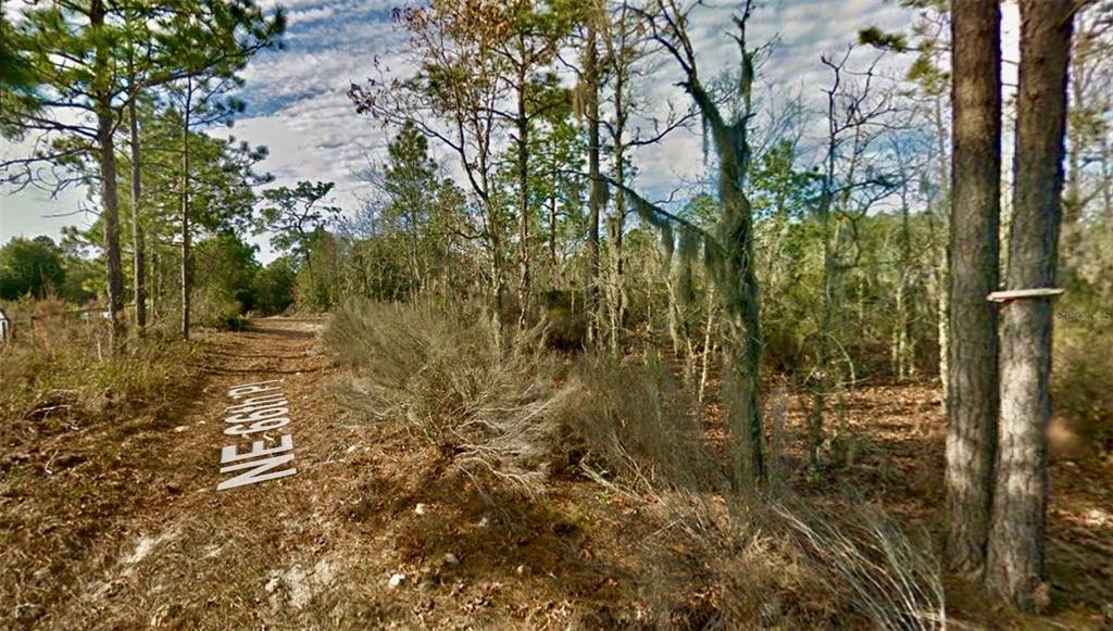 000 66TH PL. NE, BRONSON, FL — photo 4 of 12