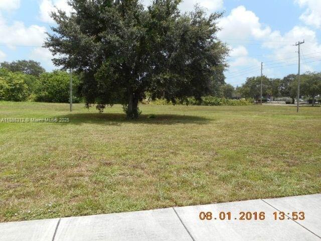 A large tree stands in the center of a grassy, undeveloped residential lot — SW 45th St, Davie FL 33314, DAVIE, FL