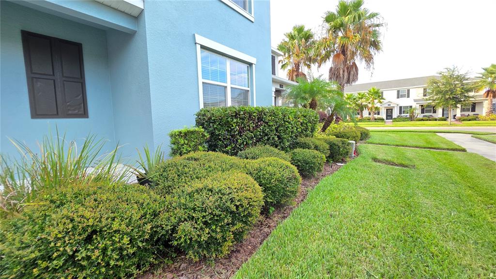 A blue exterior wall with a window and a landscaped garden bed with green shrubs — 11883 PULITZER PLACE, ORLANDO, FL