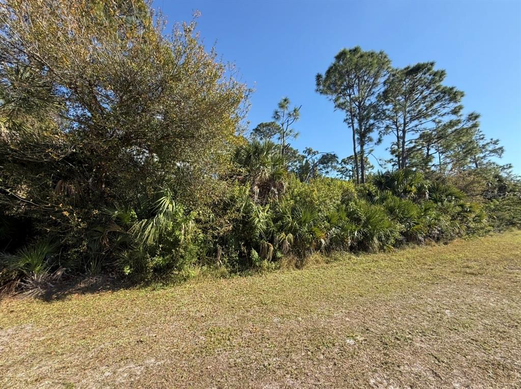 A grassy lot features a dense thicket of trees and palmettos under a clear sky — 9059 WILLMINGTON BOULEVARD, ENGLEWOOD, FL
