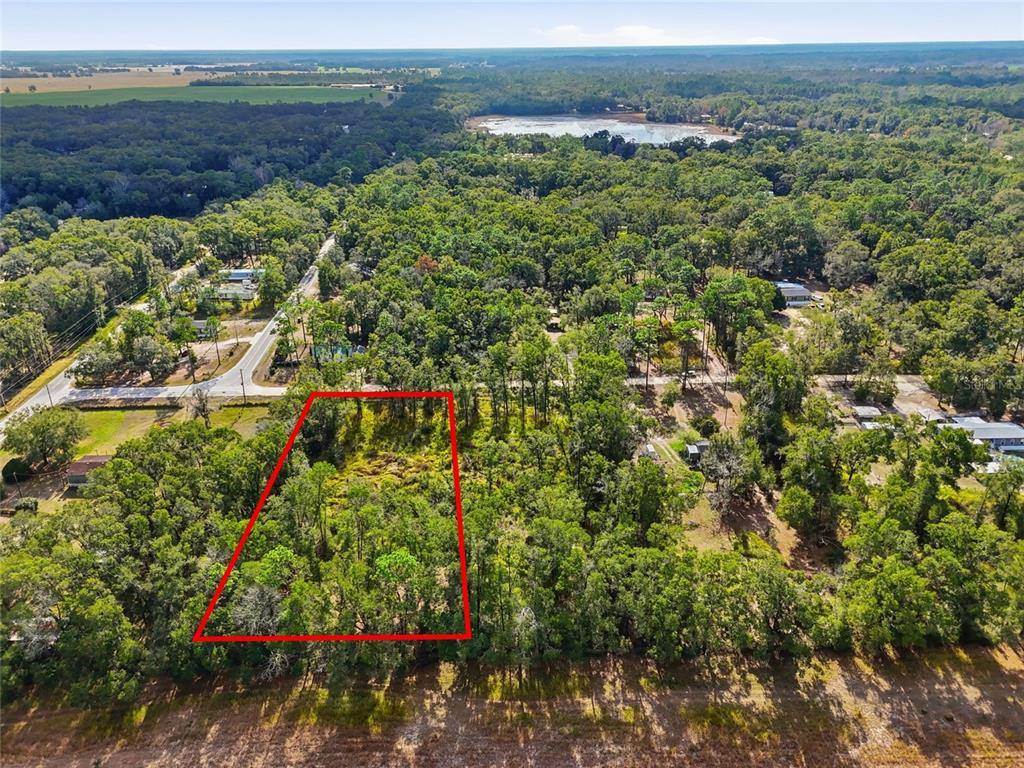 An aerial view shows a rectangular plot of land outlined in red amidst wooded terrain — 00 SE 80TH PLACE, TRENTON, FL