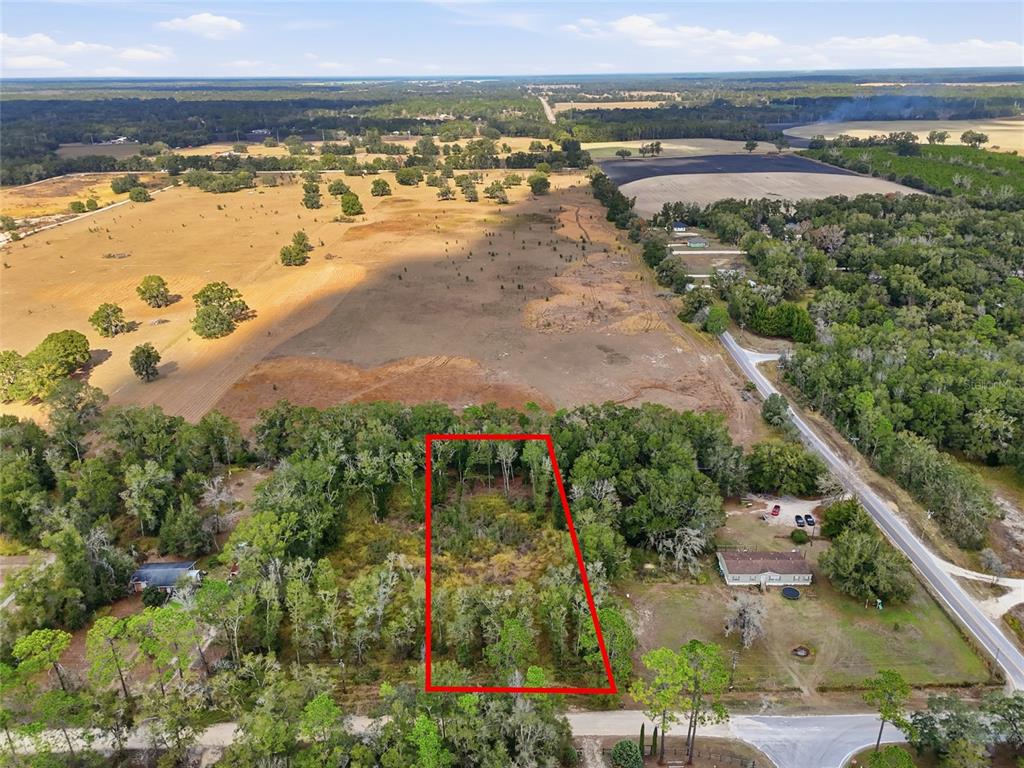 An aerial view shows a rectangular, wooded vacant lot outlined in red near a road — 00 SE 80TH PLACE, TRENTON, FL