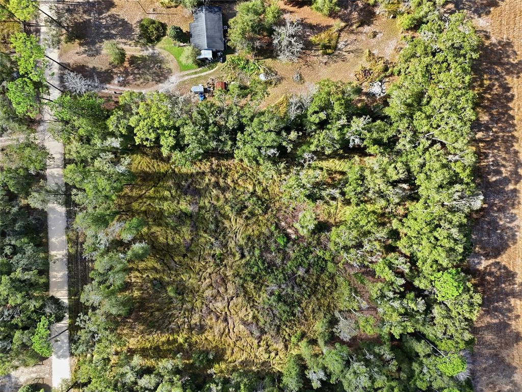 An aerial view shows a wooded lot with a small house and a dirt road — 00 SE 80TH PLACE, TRENTON, FL
