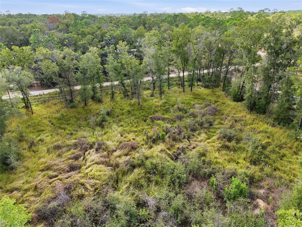 An aerial view shows a large, undeveloped plot of land covered in tall grass and trees — 00 SE 80TH PLACE, TRENTON, FL